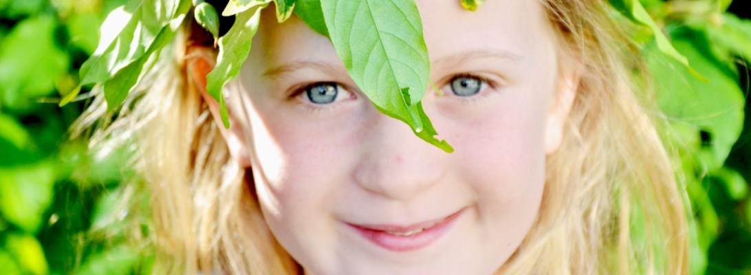 festa di inizio estate