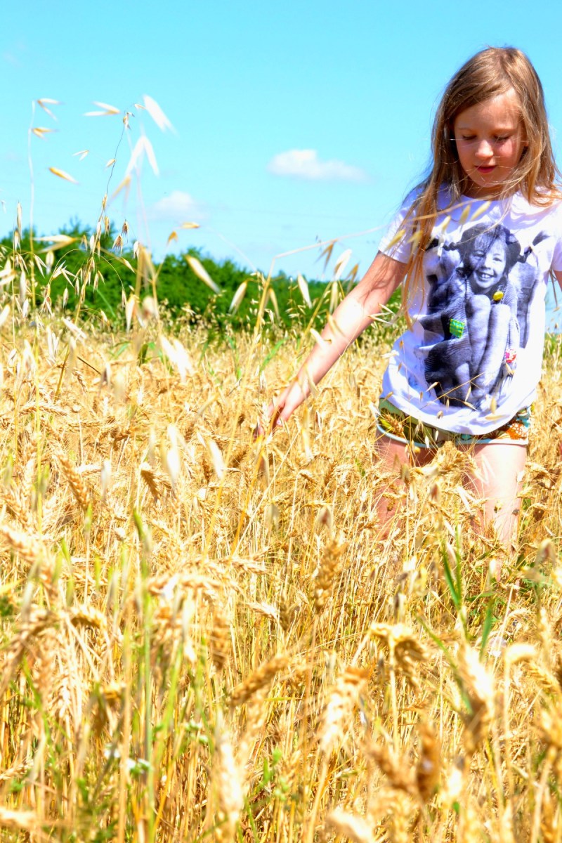 patasgnaffa nel grano