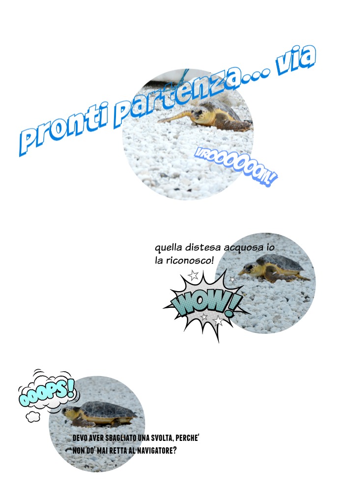 storia di gennarina 1